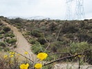 photo thumbnail #10