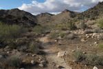 photo thumbnail #5