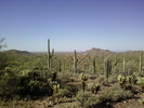 photo thumbnail #3