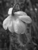 photo thumbnail #15
