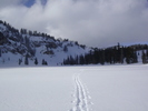 photo thumbnail #3