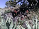 photo thumbnail #4
