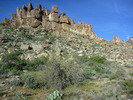 photo thumbnail #2