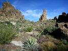 photo thumbnail #13