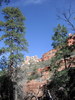 photo thumbnail #11