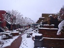 photo thumbnail #4