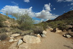 photo thumbnail #3