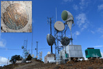 photo thumbnail #9