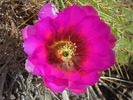 photo thumbnail #10