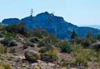 photo thumbnail #5