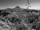 photo thumbnail #13