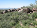 photo thumbnail #2