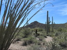 photo thumbnail #11