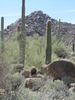 photo thumbnail #13