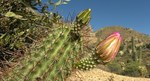 photo thumbnail #10
