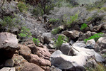photo thumbnail #13