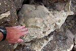photo thumbnail #14
