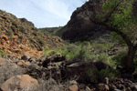 photo thumbnail #15