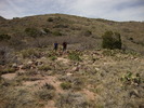 photo thumbnail #11