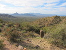 photo thumbnail #5