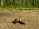 photo thumbnail #4