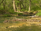 photo thumbnail #7