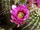 photo thumbnail #7