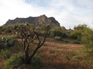 photo thumbnail #3