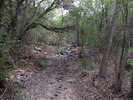 photo thumbnail #12