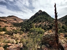 photo thumbnail #3