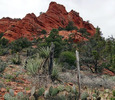 photo thumbnail #12