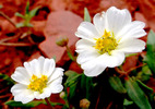 photo thumbnail #14