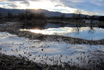 photo thumbnail #12
