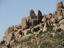photo thumbnail #7
