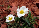 photo thumbnail #15