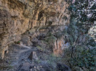 photo thumbnail #7