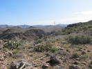 photo thumbnail #5
