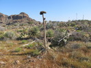 photo thumbnail #6