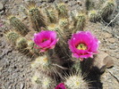 photo thumbnail #2