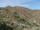 photo thumbnail #7