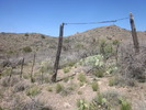 photo thumbnail #7