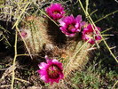 photo thumbnail #2