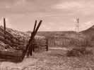 photo thumbnail #10