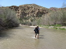 photo thumbnail #3