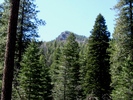photo thumbnail #10
