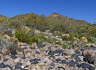 photo thumbnail #9