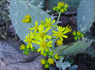 photo thumbnail #15