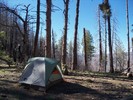 photo thumbnail #6