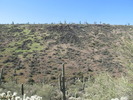 photo thumbnail #4