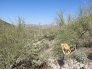 photo thumbnail #6
